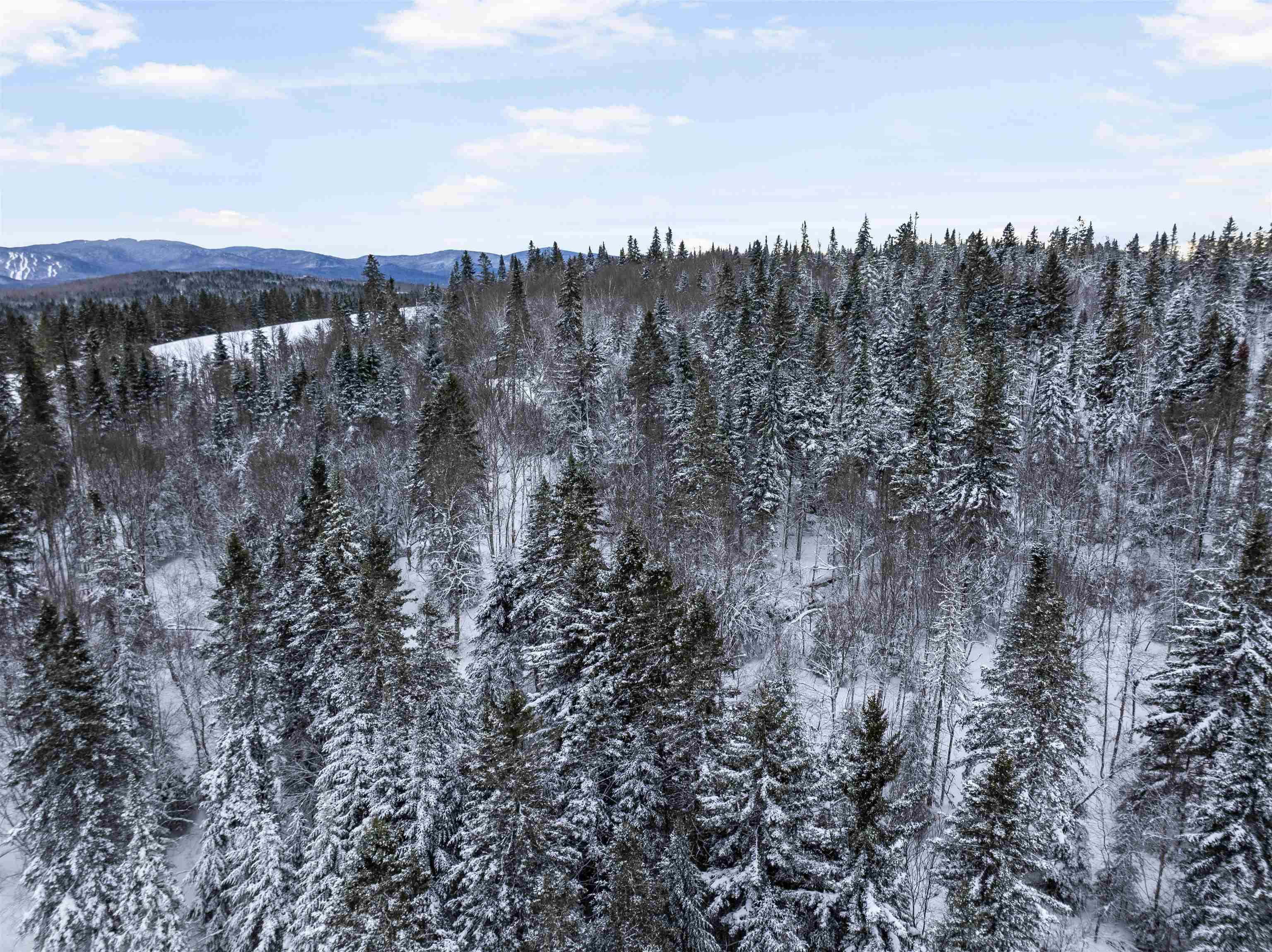 242 Noyes Road Stewartstown, NH 03576 - Photo 51 of 55