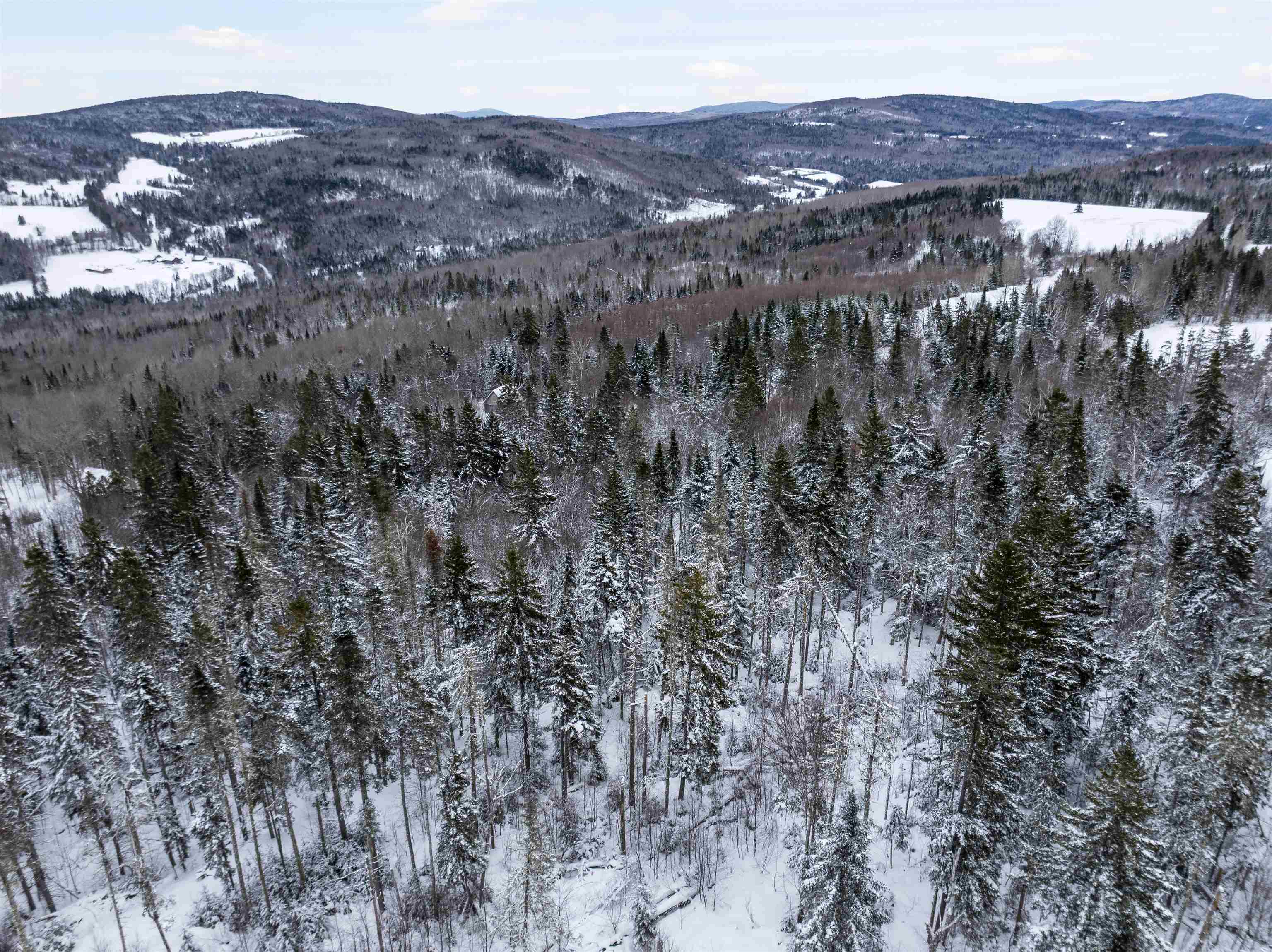 242 Noyes Road Stewartstown, NH 03576 - Photo 54 of 55