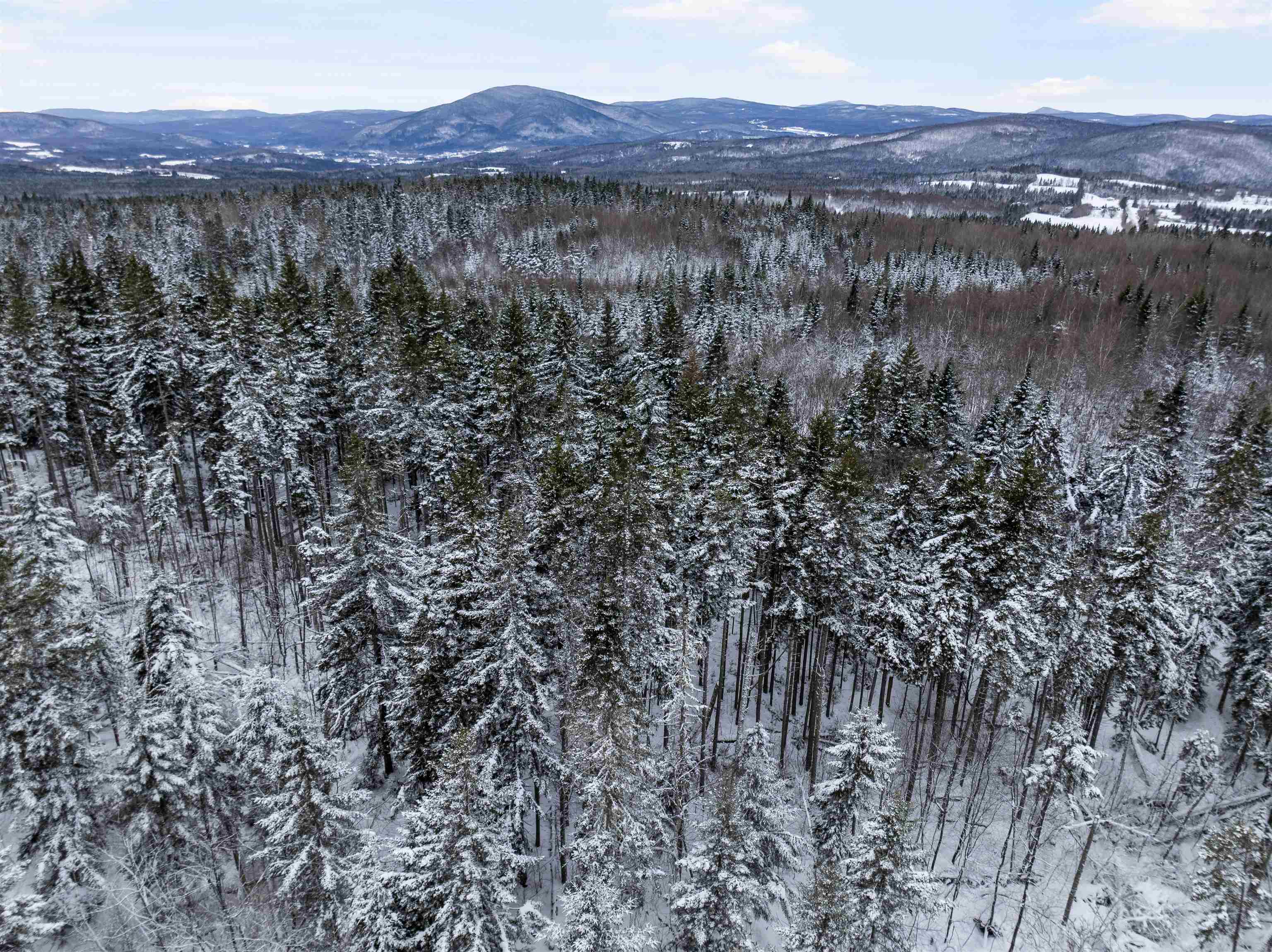 242 Noyes Road Stewartstown, NH 03576 - Photo 55 of 55