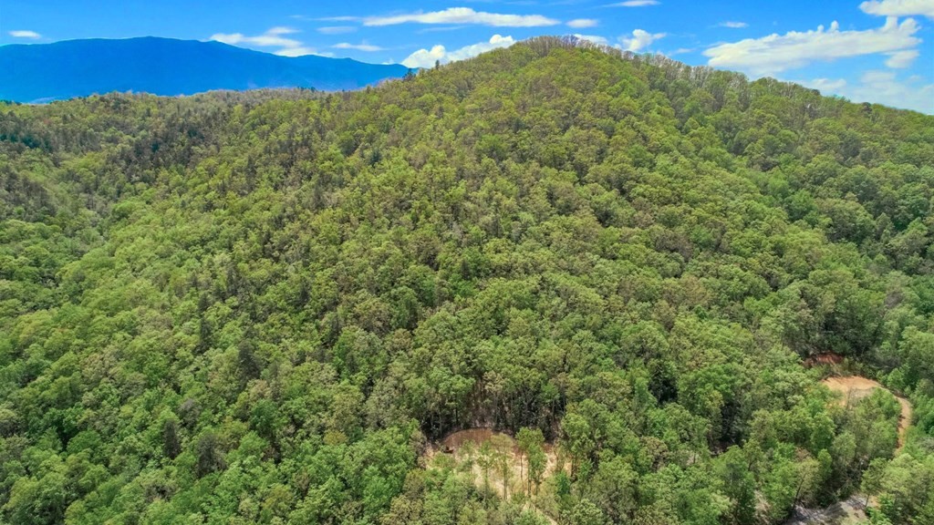 2 Rocky Ridge Road Cosby, TN 37722 - Photo 6 of 28 Gallery Image 6