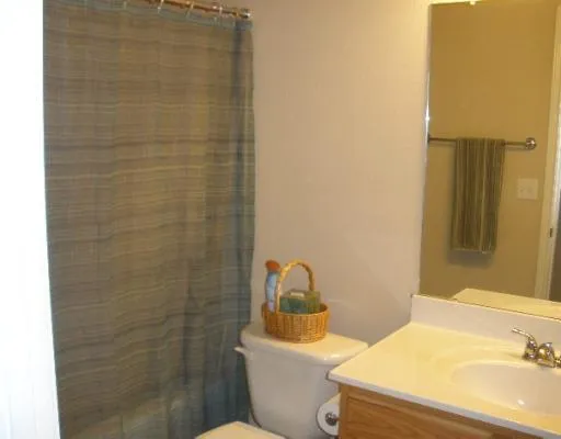 a bathroom with a sink and a toilet