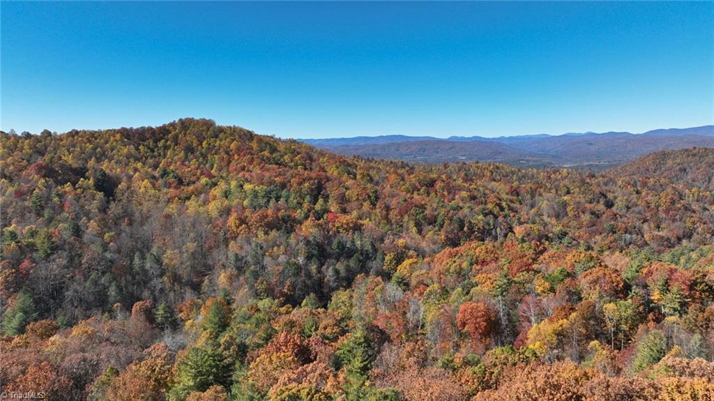 326 Rose Brier Road Boomer, NC 28606 - Photo 3 of 49