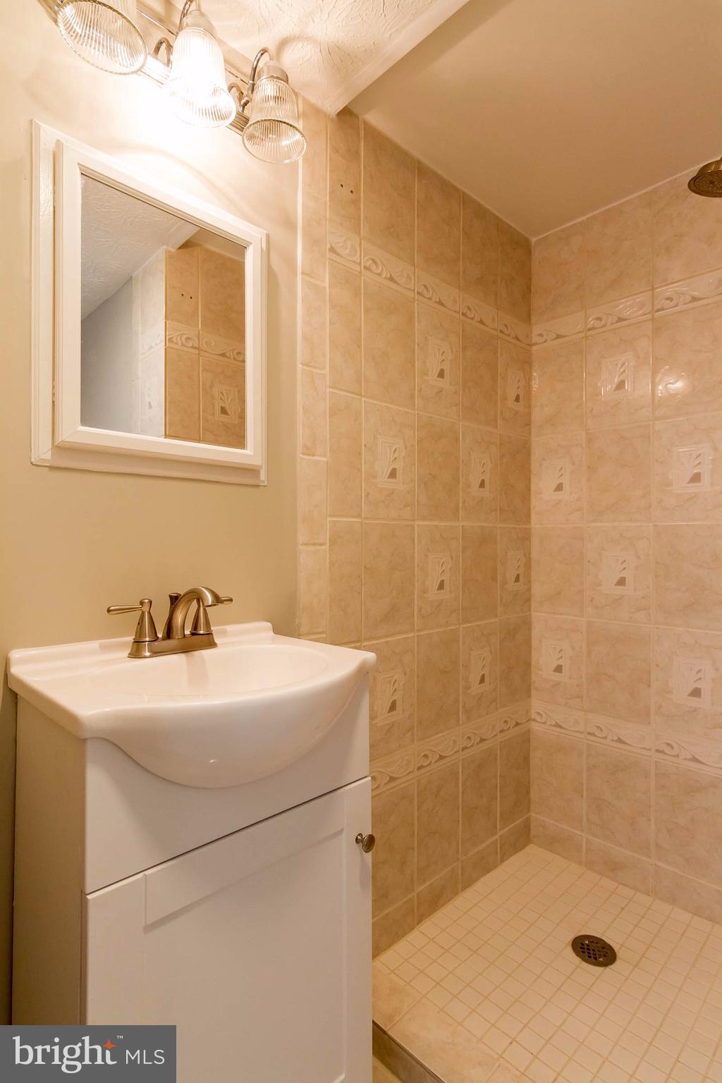 8030 Grandview Court Springfield, VA 22153 - Photo 17 of 27 Basement Full Bath. (commode not pictured)