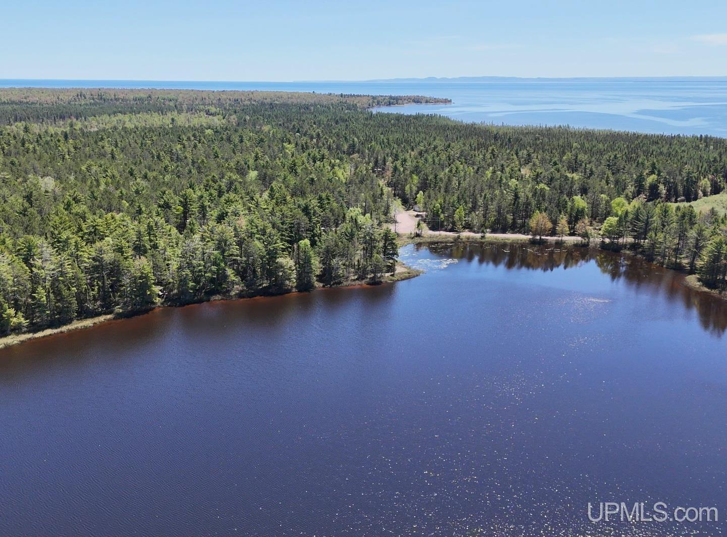 Tbd303 Little Rice Lk Road Lake Linden, MI 49945 - Photo 20 of 22
