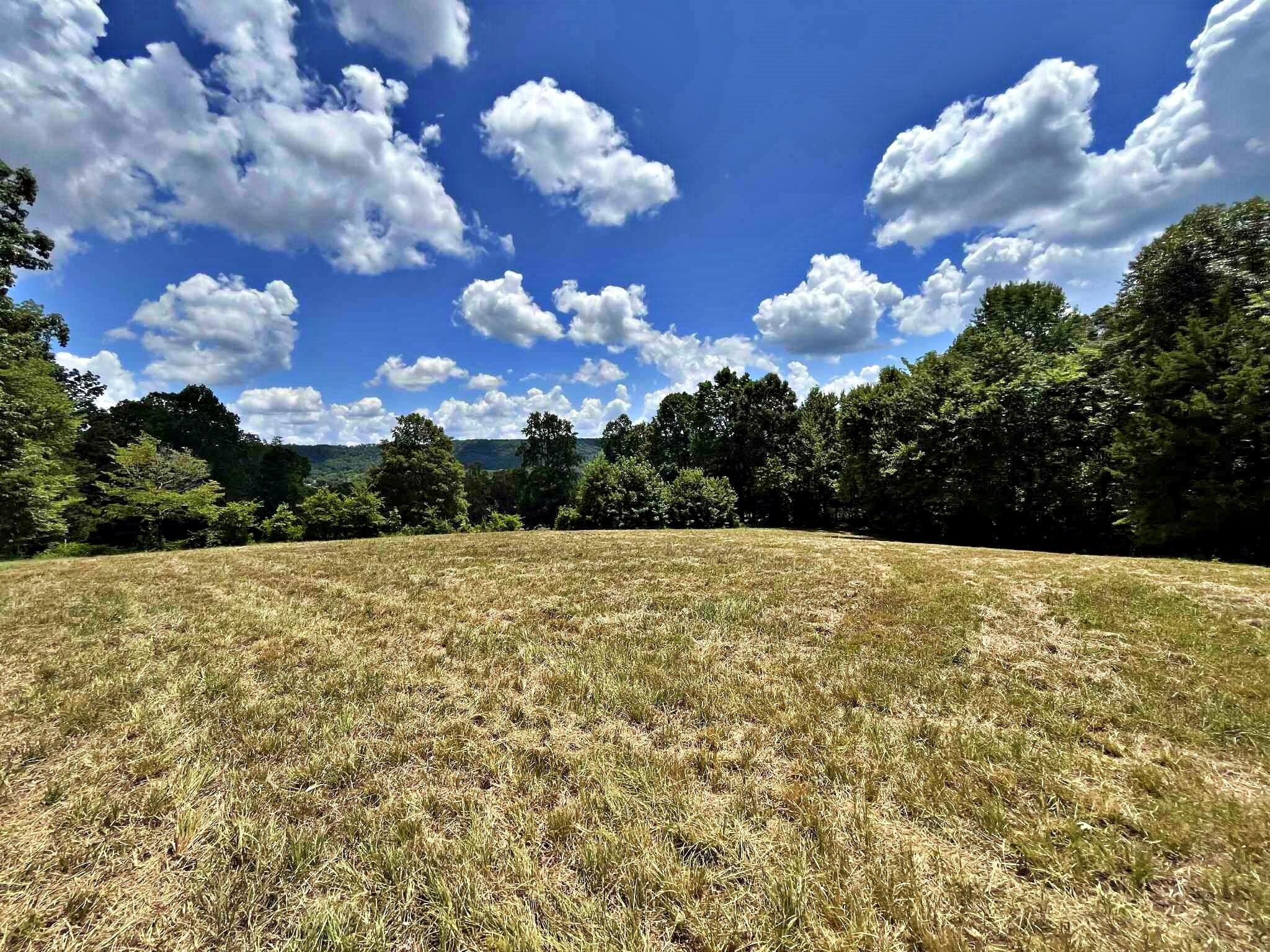2 Keylon Hollow Road Ten Mile, TN 37880 - Photo 6 of 10