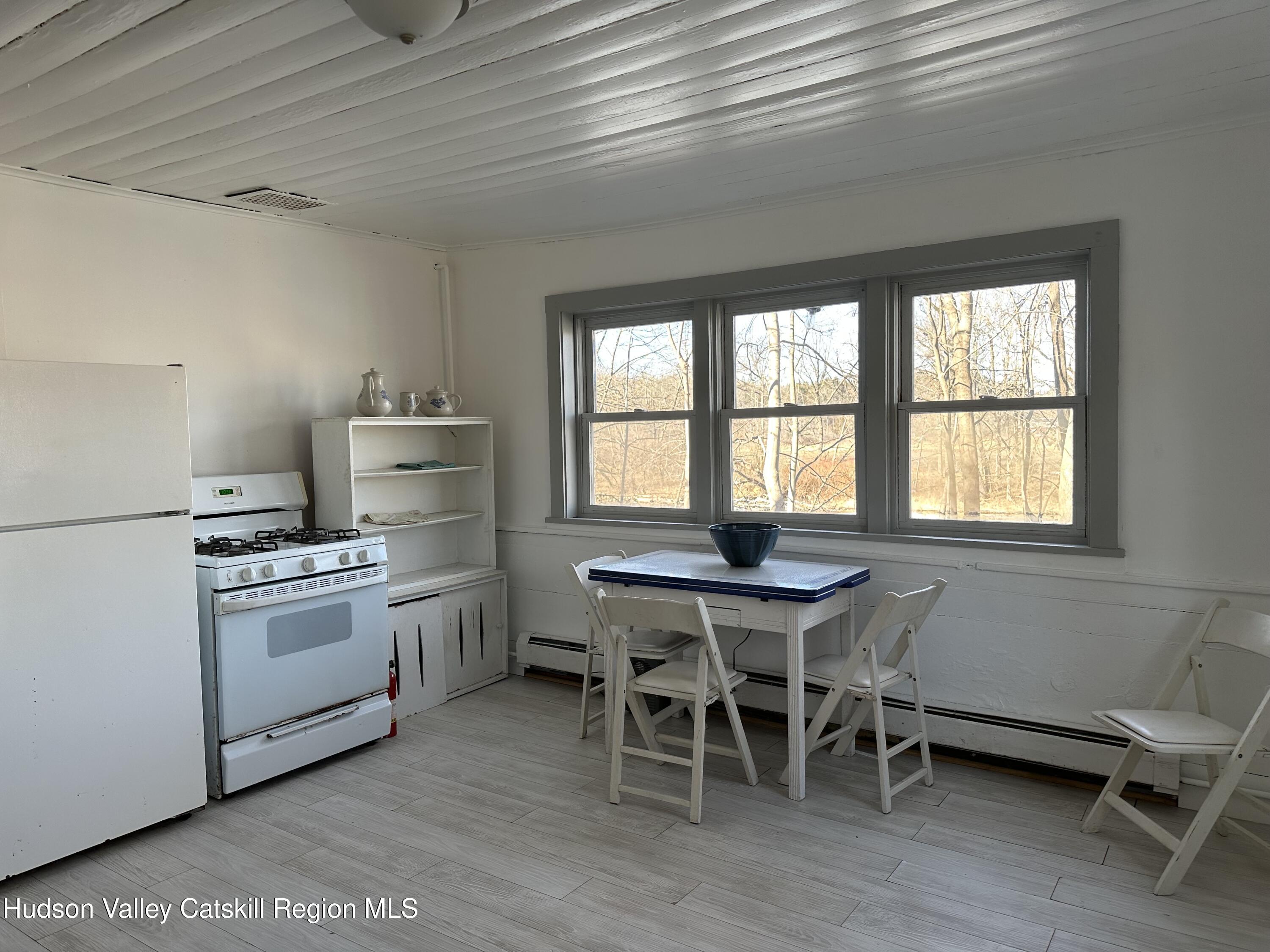 577 Berme Road High Falls, NY 12440 - Photo 16 of 30 Kitchen with appliances