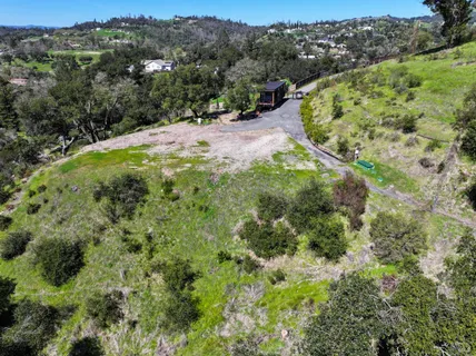 a view of a lush green forest with trees and some houses