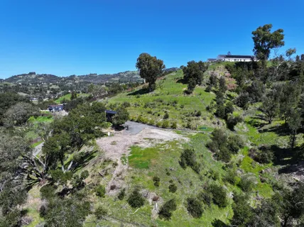a view of a green field with lots of bushes