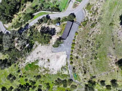 a view of a yard with plants