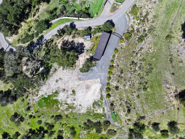 a view of a yard with plants