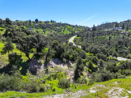 a view of a garden with houses