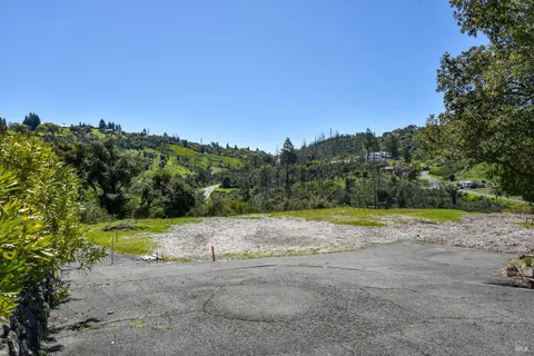 a view of a yard with a tree