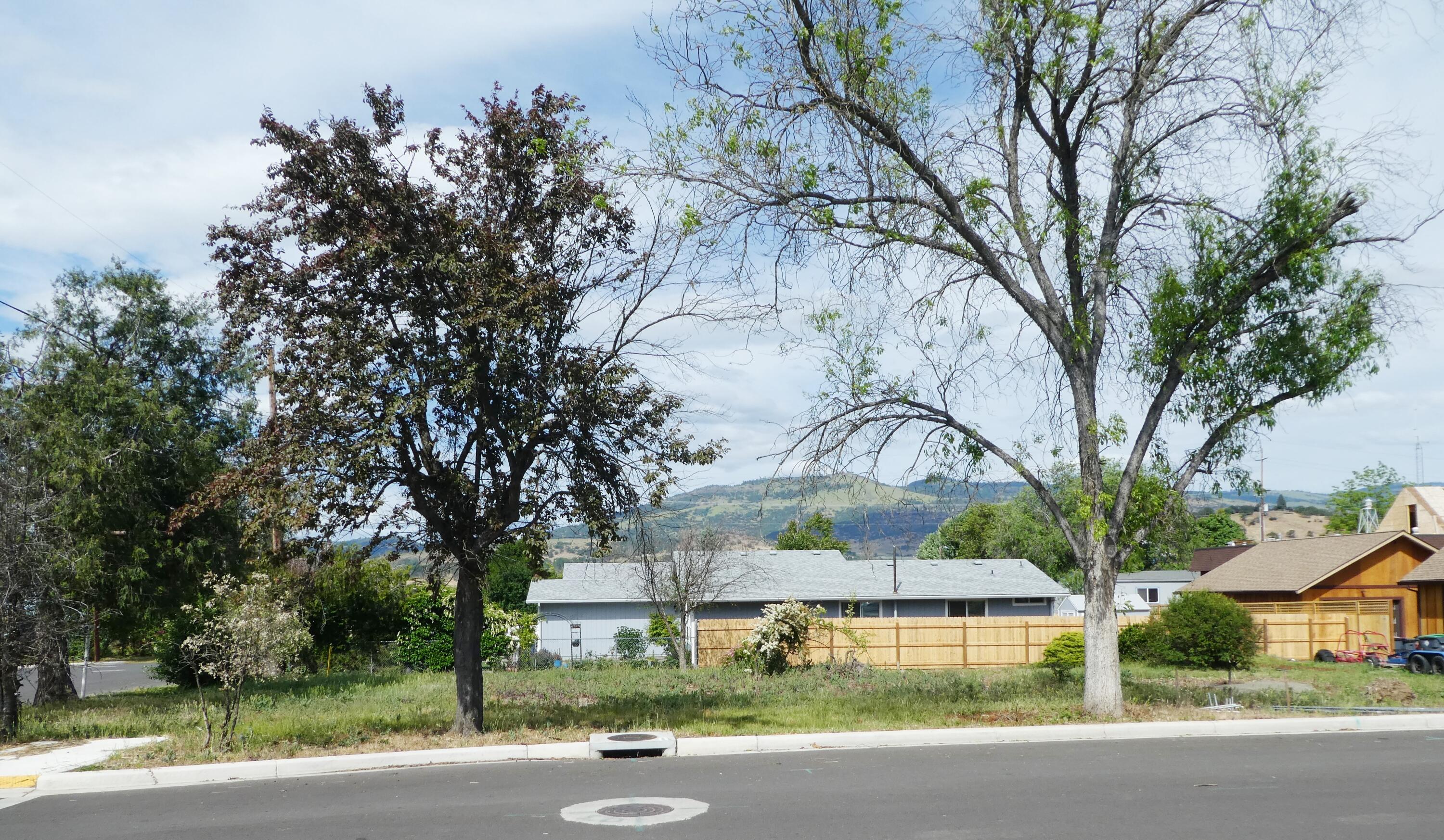 115 West 3rd Street Phoenix, OR 97535 - Photo 4 of 5 4-Side View
