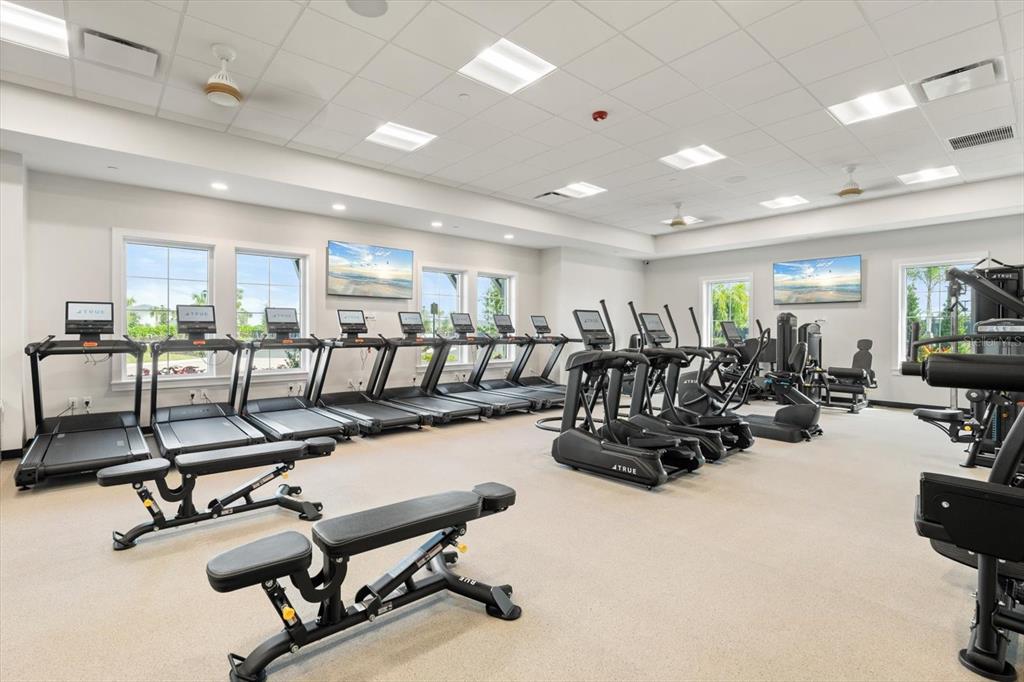 17738 Pastureland Avenue Lakewood Ranch, FL 34211 - Photo 44 of 50 a view of a room with gym equipment