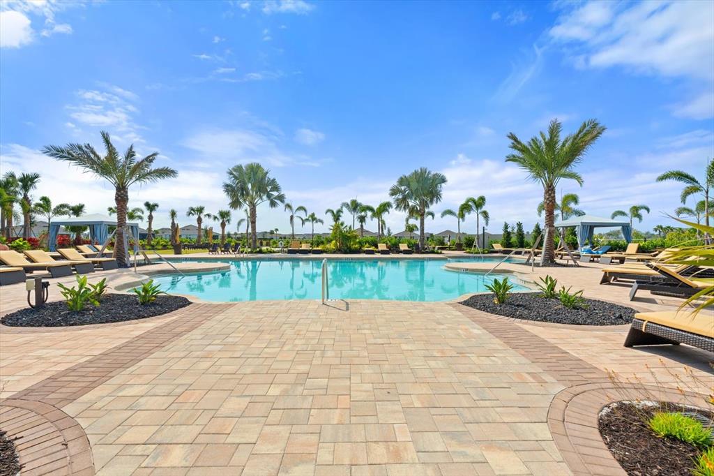 17738 Pastureland Avenue Lakewood Ranch, FL 34211 - Photo 46 of 50 a view of a swimming pool and trees in the background