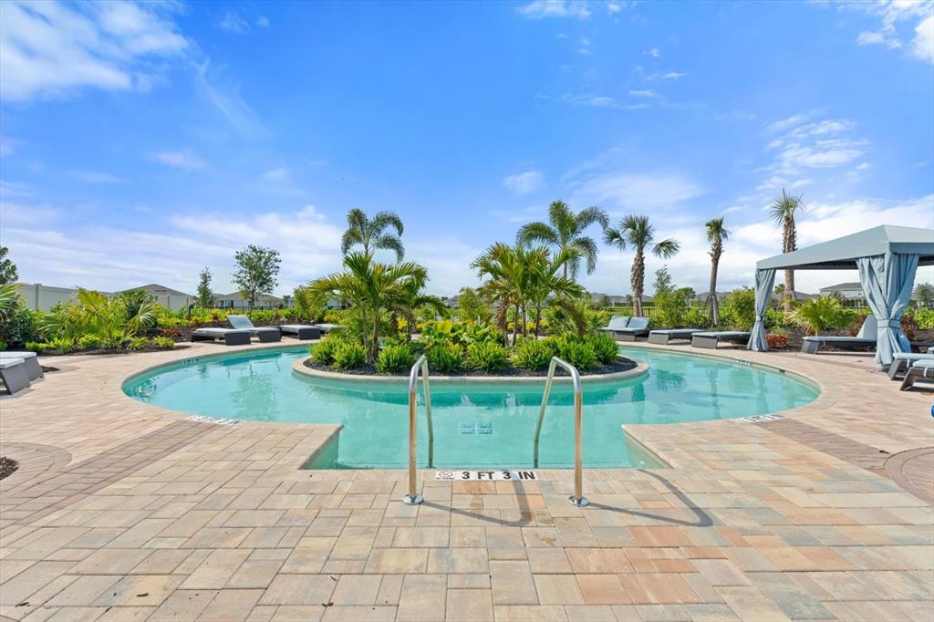 17738 Pastureland Avenue Lakewood Ranch, FL 34211 - Photo 47 of 50 a view of a backyard