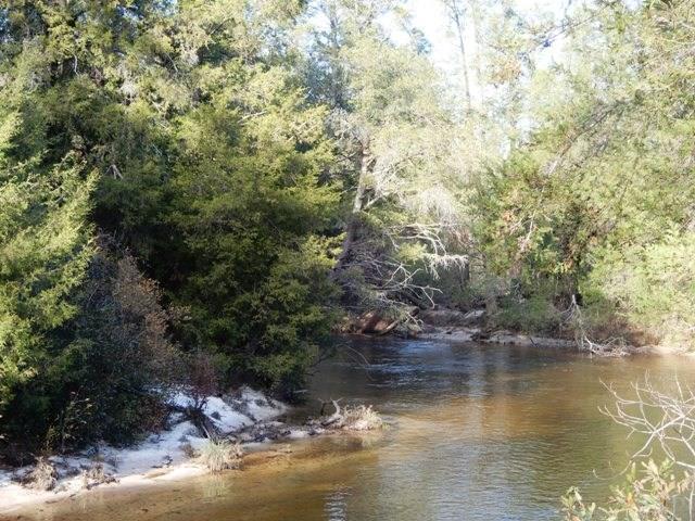 2500-blk Wolf Log Road Flomaton, AL 36441 - Photo 18 of 32
