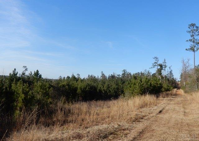 2500-blk Wolf Log Road Flomaton, AL 36441 - Photo 23 of 32