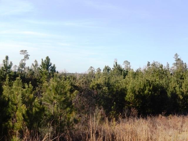 2500-blk Wolf Log Road Flomaton, AL 36441 - Photo 24 of 32