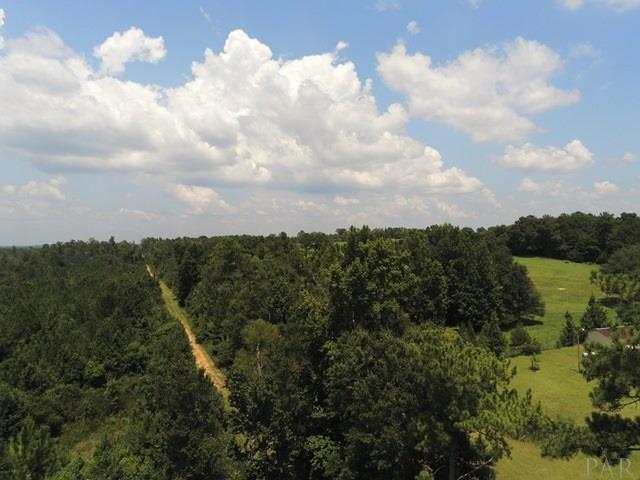2500-blk Wolf Log Road Flomaton, AL 36441 - Photo 30 of 32