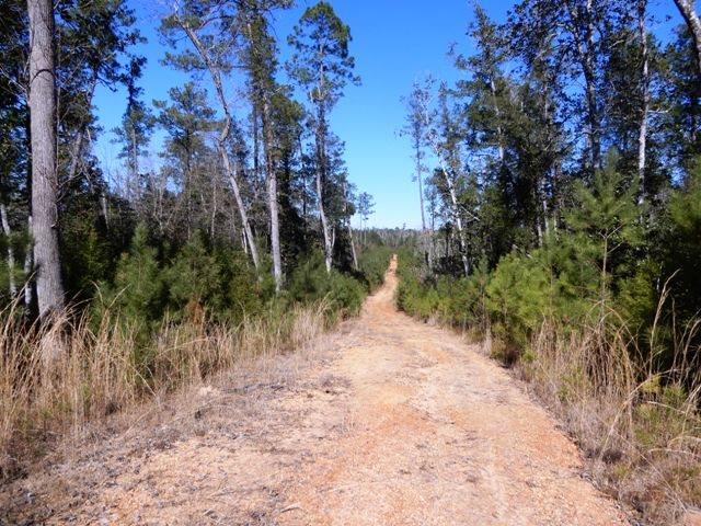 2500-blk Wolf Log Road Flomaton, AL 36441 - Photo 3 of 32