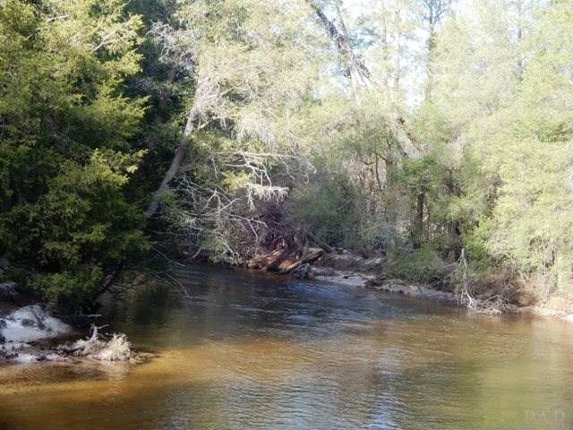 2500-blk Wolf Log Road Flomaton, AL 36441 - Photo 5 of 32