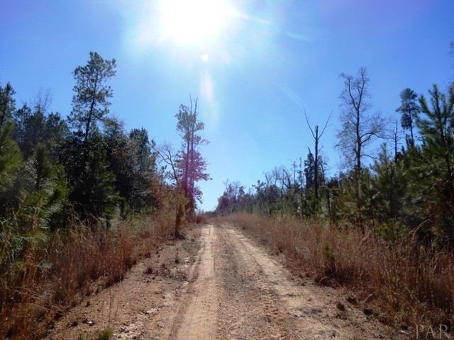 2500-blk Wolf Log Road Flomaton, AL 36441 - Photo 8 of 32