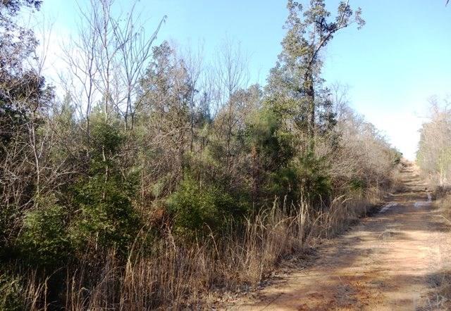 2500-blk Wolf Log Road Flomaton, AL 36441 - Photo 9 of 32