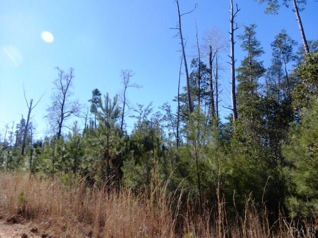 2500-blk Wolf Log Road Flomaton, AL 36441 - Photo 10 of 32