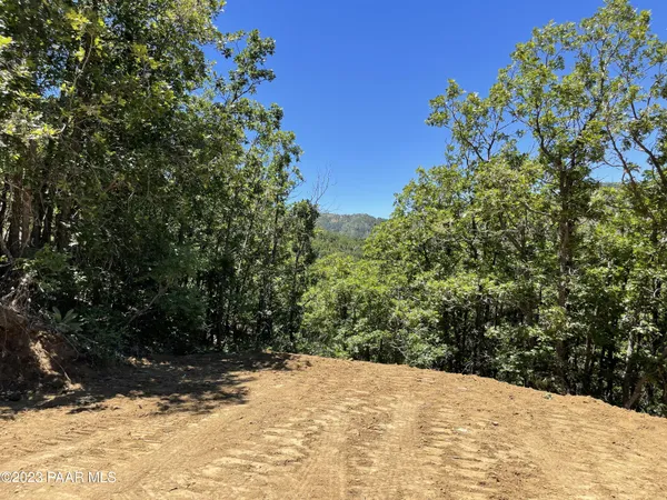 a view of a yard with plants and trees