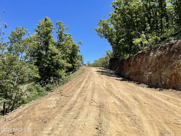 a view of a yard with plants and trees