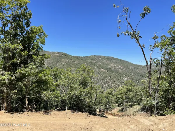 a view of a mountain