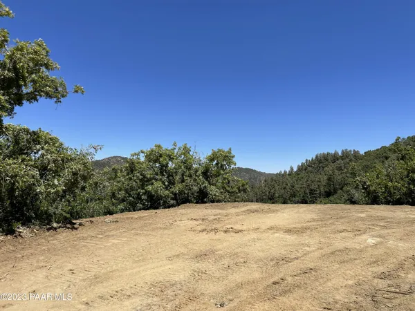 a view of backyard with large trees