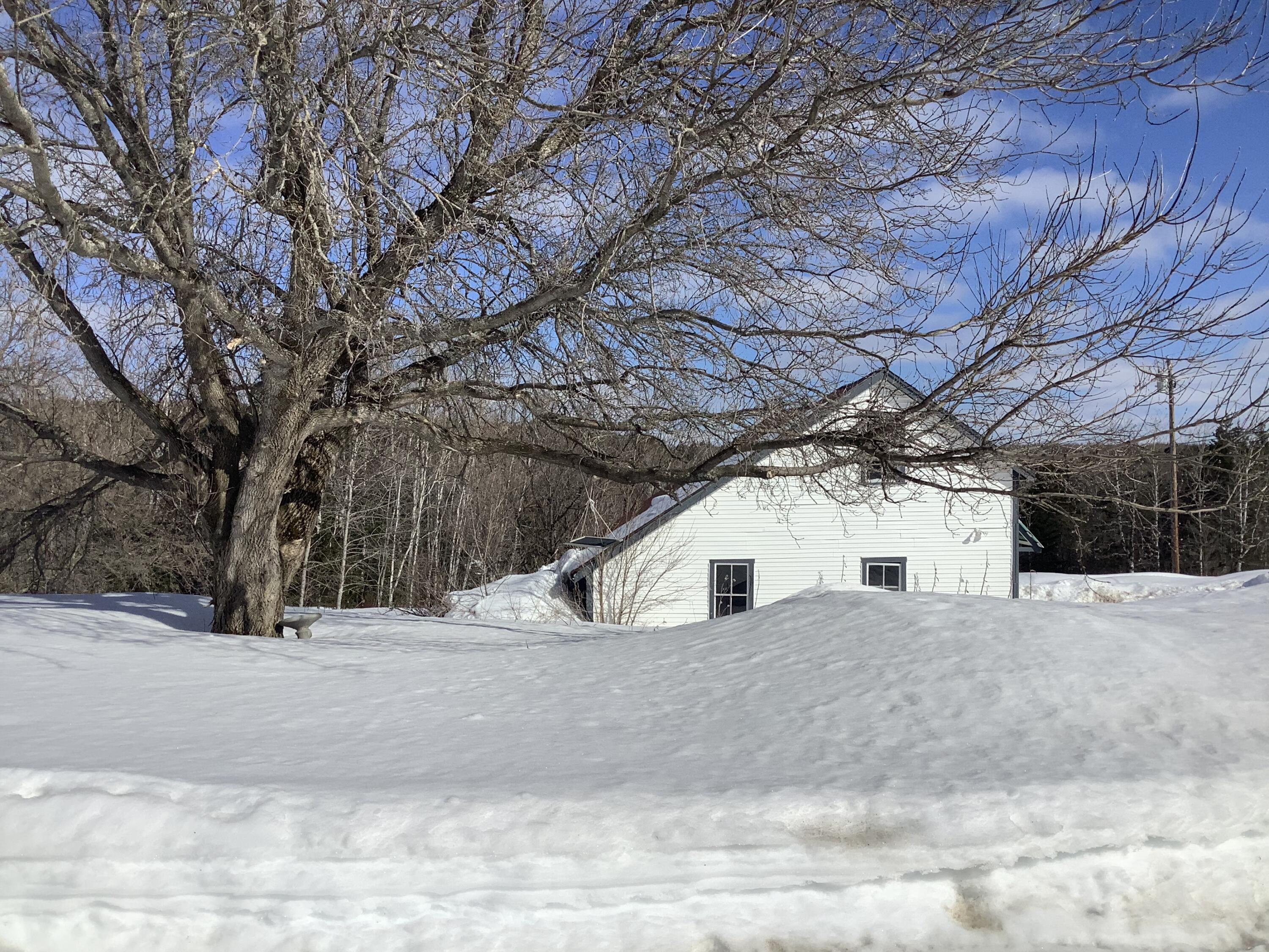 331 North Wade Road Washburn, ME 04786 - Photo 47 of 61 E89177C2-E6CB-464D-BDB3-3ED259A8C29D