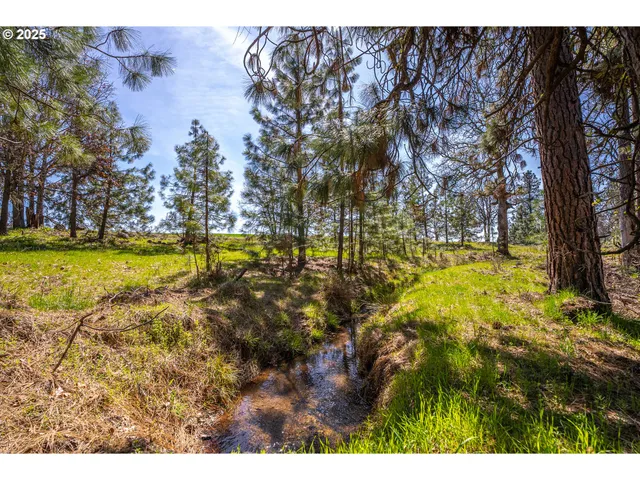 a view of a yard with swimming pool