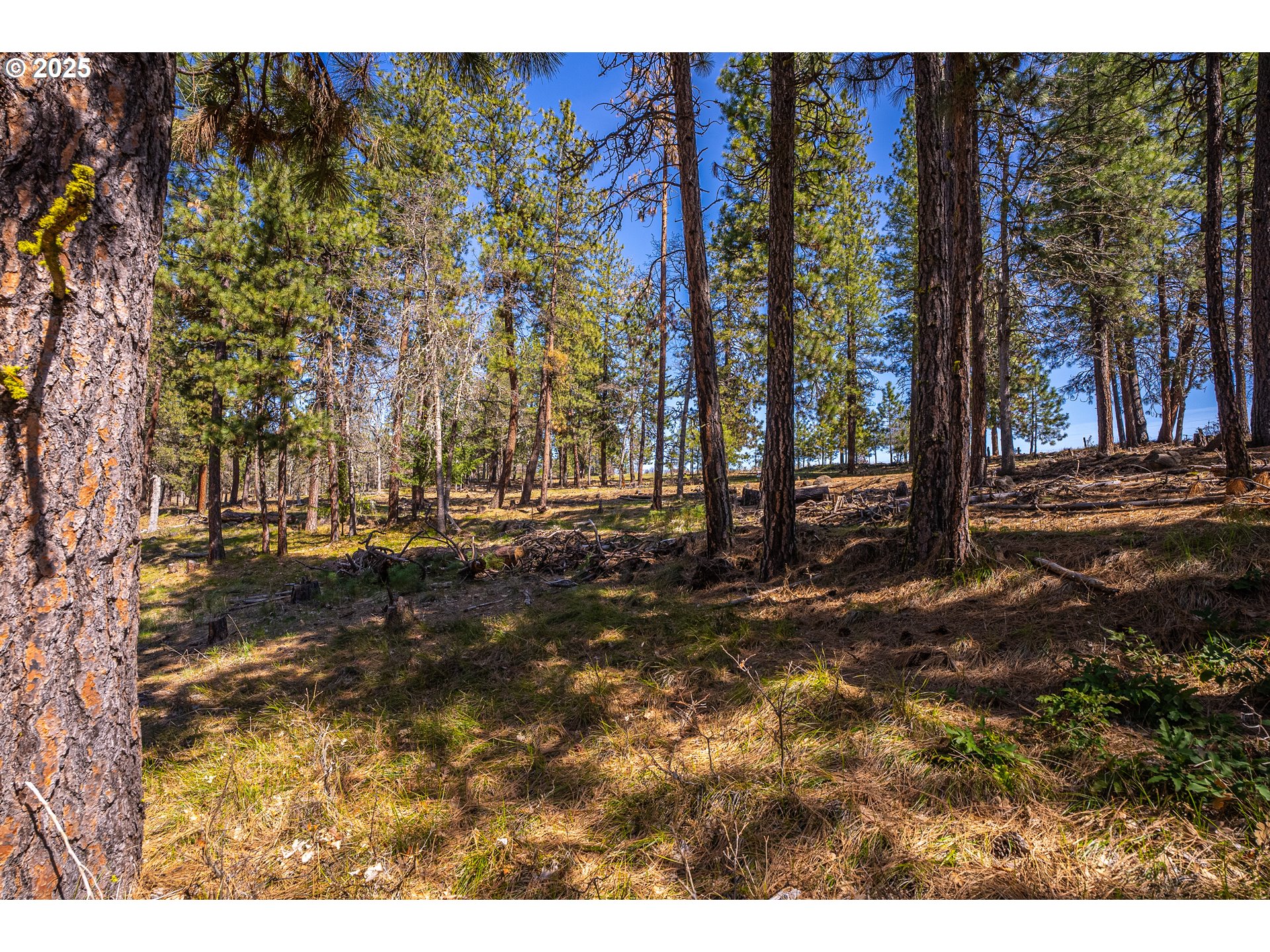 10 Outback Road Goldendale, WA 98620 - Photo 5 of 6 a view of outdoor space with street view