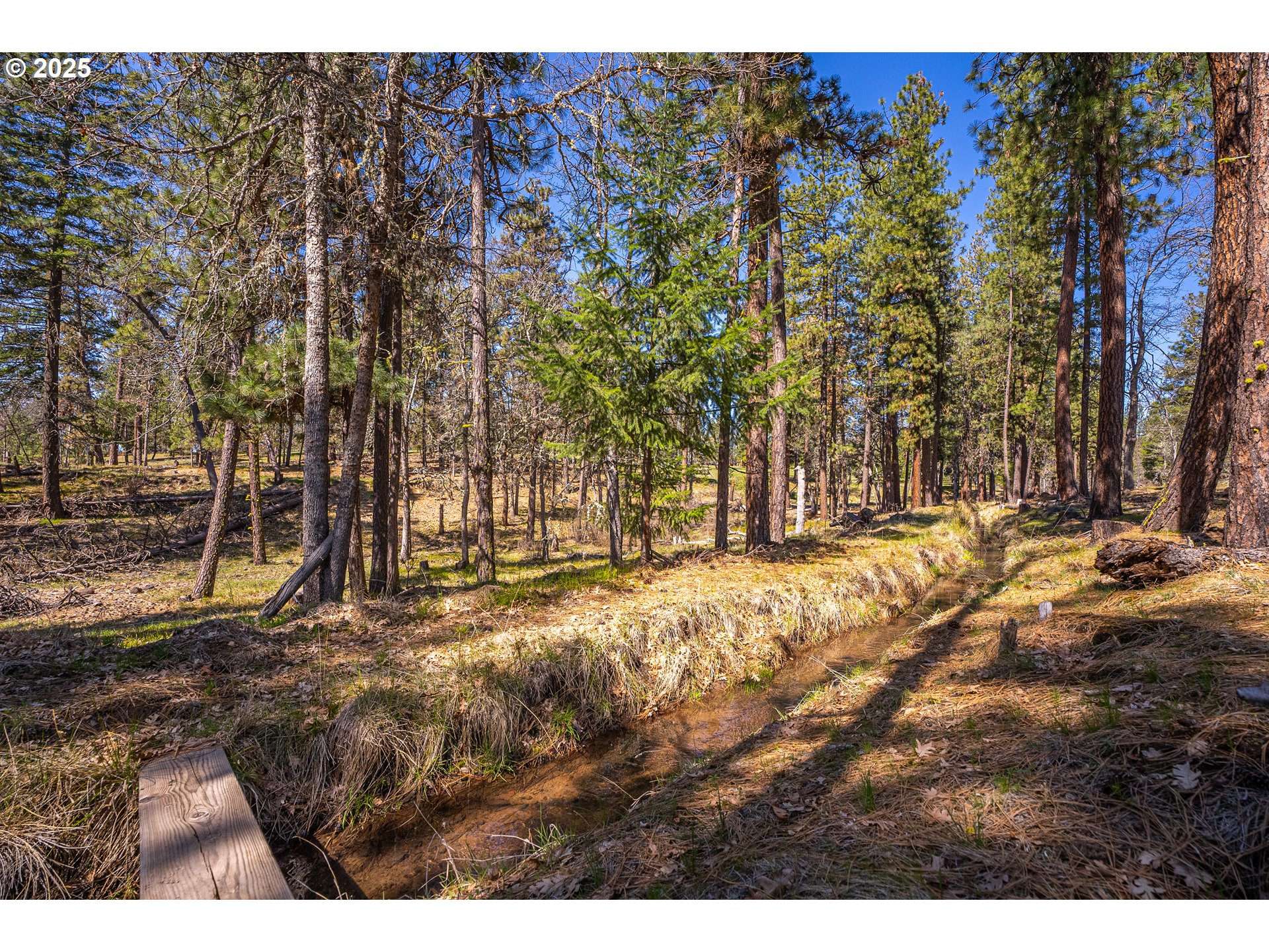 10 Outback Road Goldendale, WA 98620 - Photo 6 of 6 a view of outdoor space with trees