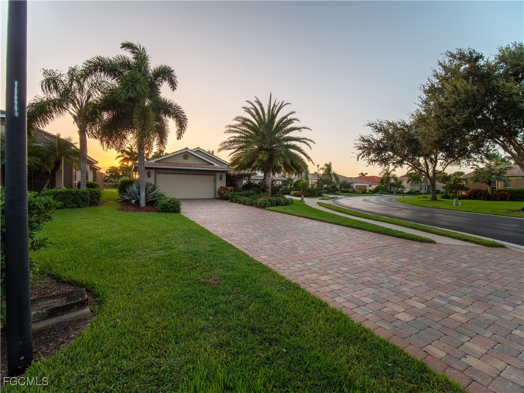 20311 Rookery Drive Estero, FL 33928 - Photo 5 of 29 a palm tree sitting in front of a house with a big yard