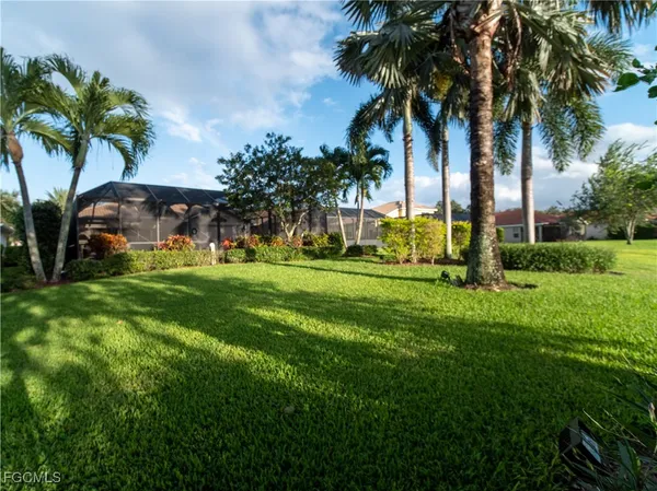 a view of a park with palm trees