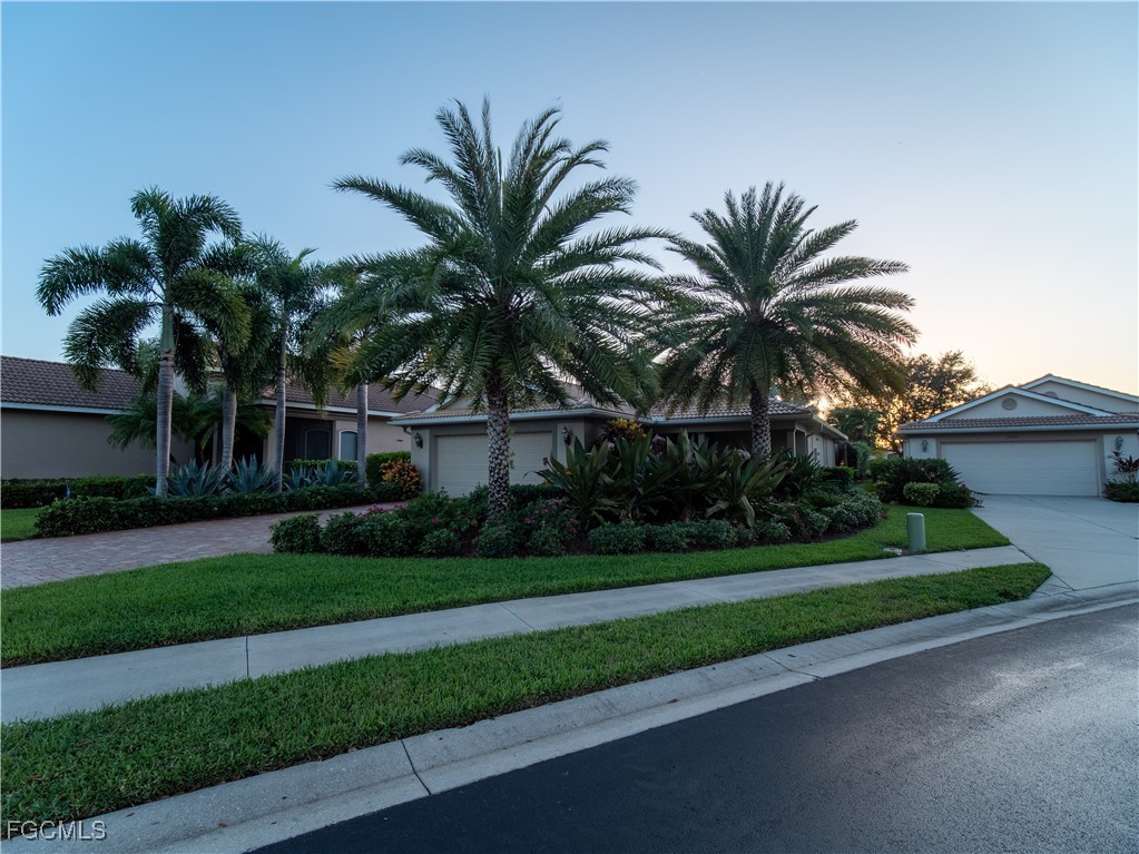 20311 Rookery Drive Estero, FL 33928 - Photo 7 of 29 a palm tree sitting in front of a house with a yard