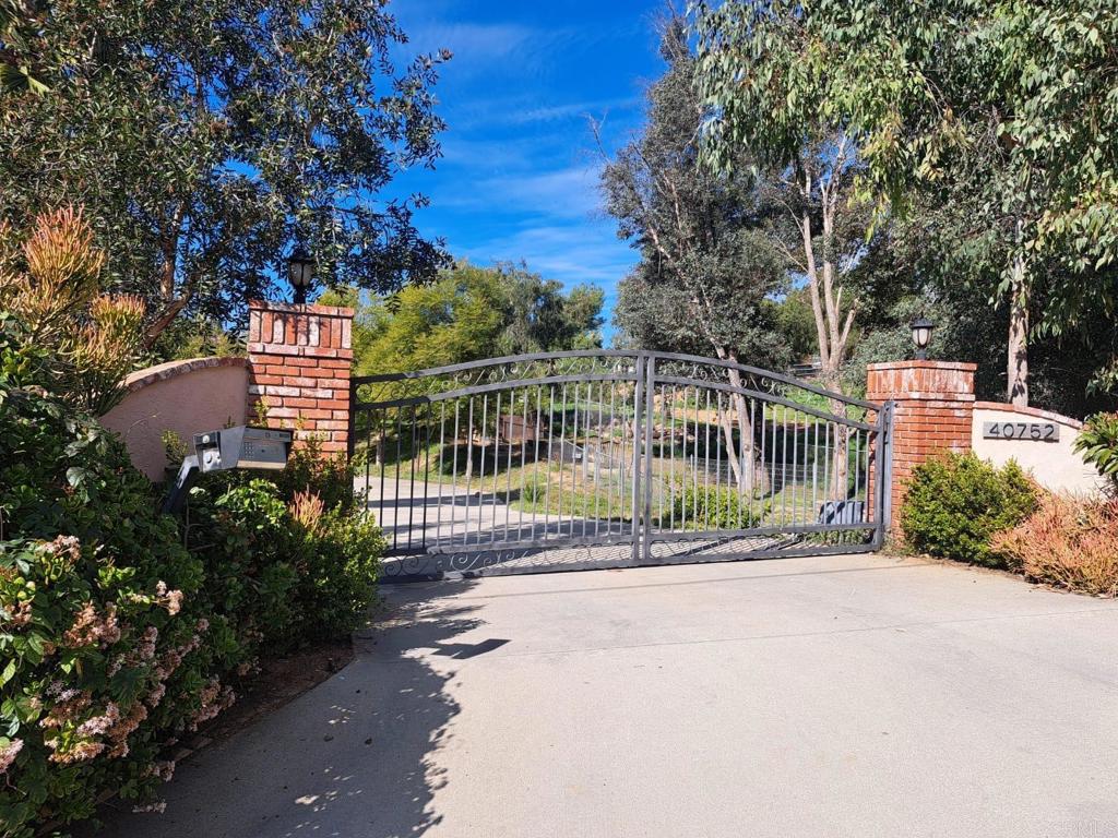 a view of a park with a large trees