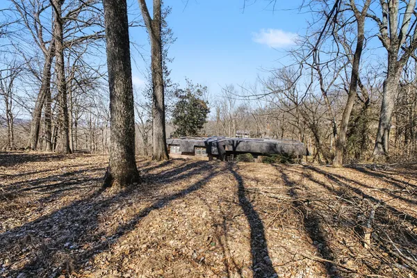 a view of outdoor space with trees