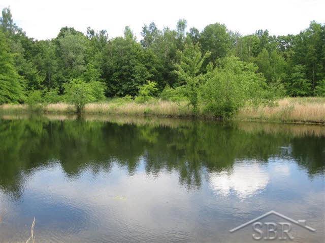 10375 Carr Road St. Charles, MI 48655 - Photo 4 of 10 20097028-3.JPG