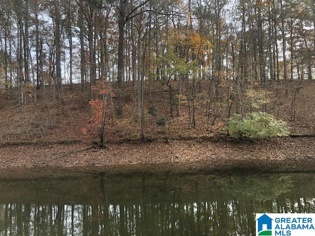Bluebird Drive Wedowee, AL 36278 - Photo 3 of 6
