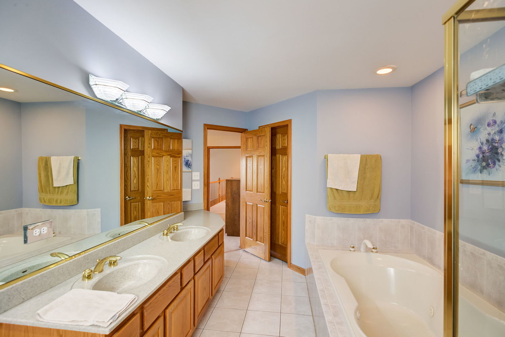 206 Meier Road Arlington Heights, IL 60005 - Photo 28 of 42 a spacious bathroom with a granite countertop tub sink a mirror and a bathtub