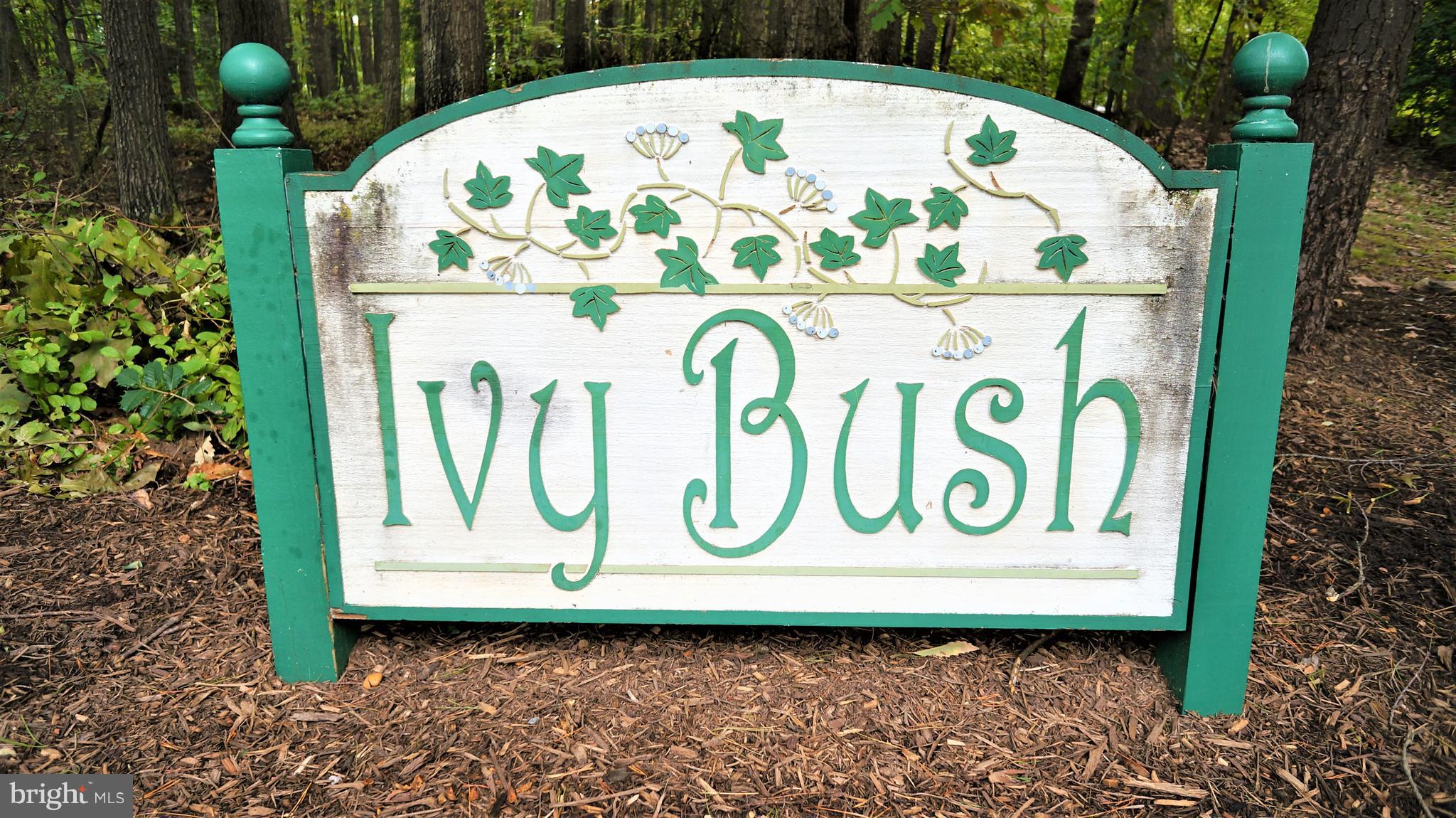 11539 Ivy Bush Court Reston, VA 20191 - Photo 30 of 30 Ivy Bush Community
