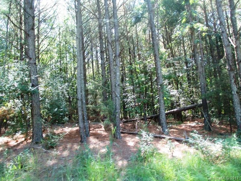 0 Kiker Road Peachland, NC 28133 - Photo 1 of 2 Gallery Image 1