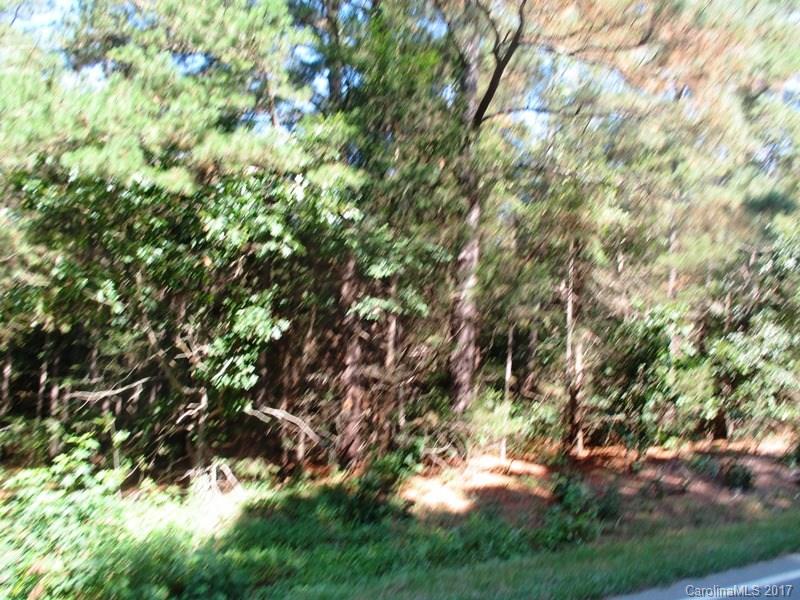 0 Kiker Road Peachland, NC 28133 - Photo 2 of 2 Gallery Image 2