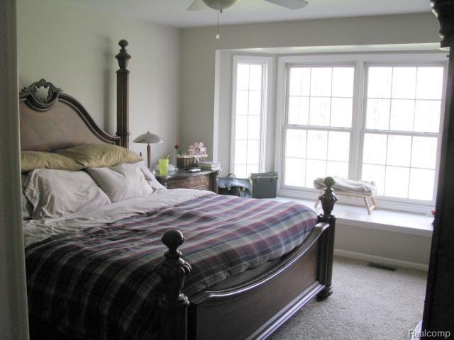 69736 Henry Ross Drive Romeo, MI 48065 - Photo 16 of 25 Henry Ross #16 Master Bedroom