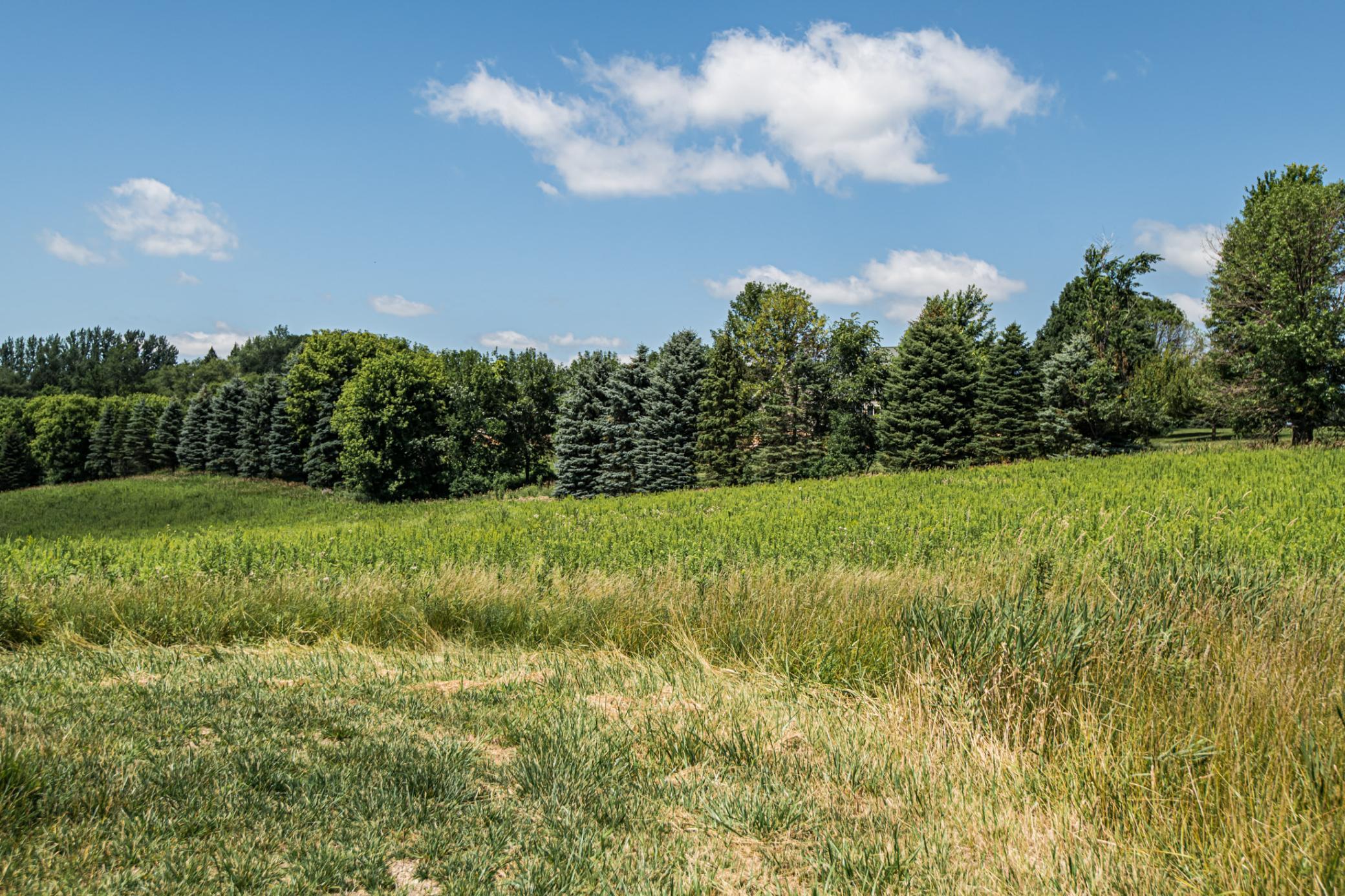 8426 11th Avenue Northwest Rochester, MN 55901 - Photo 8 of 8